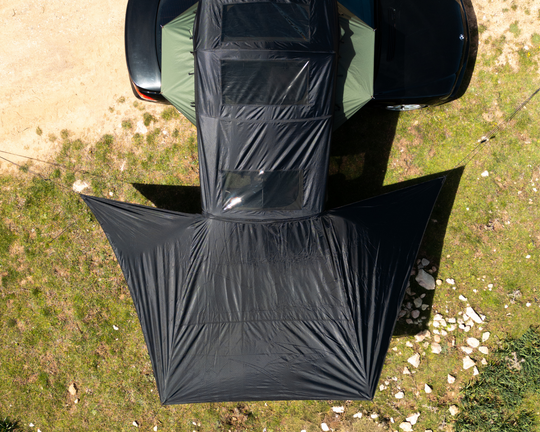 Tarp